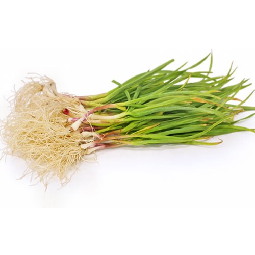 Green Garlic (Sell by LB) Keemat Grocers